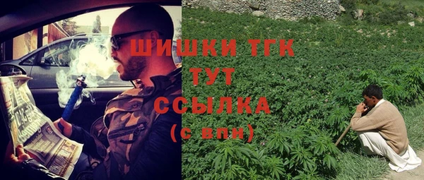 PSILOCYBIN Пестово