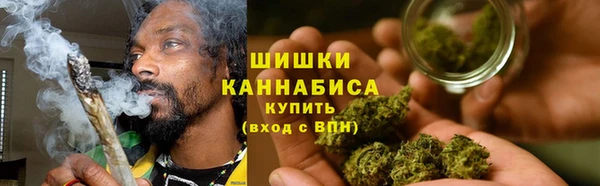 PSILOCYBIN Пестово