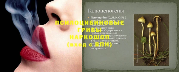 скорость Пересвет