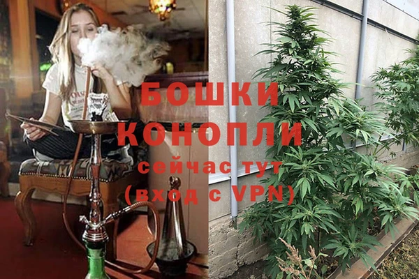 марки lsd Переславль-Залесский
