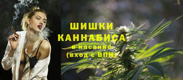 PSILOCYBIN Пестово