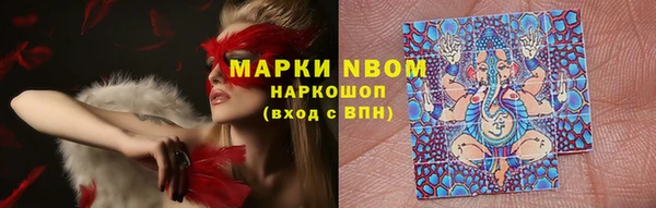 PSILOCYBIN Пестово