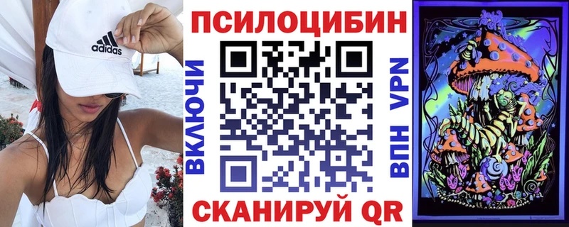 купить   Баймак  Псилоцибиновые грибы Psilocybine cubensis 