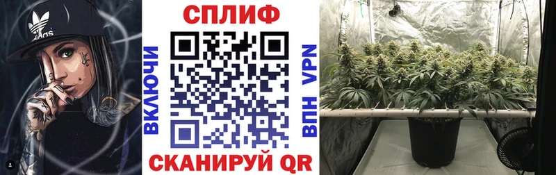 Марихуана сатива  Баймак 